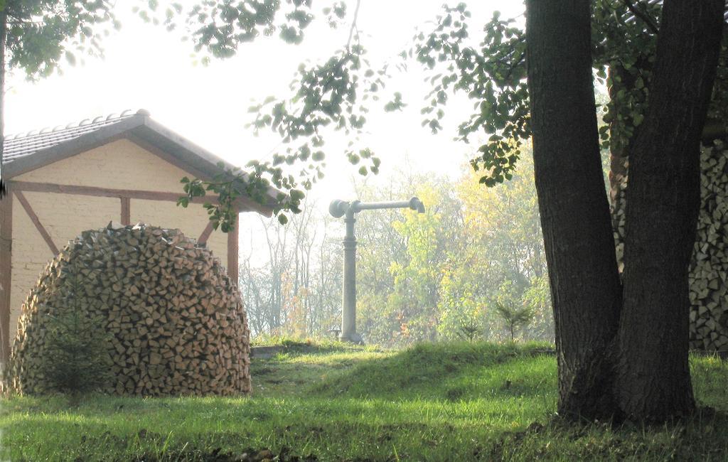 Apartamenty Carskie Białowieża Εξωτερικό φωτογραφία